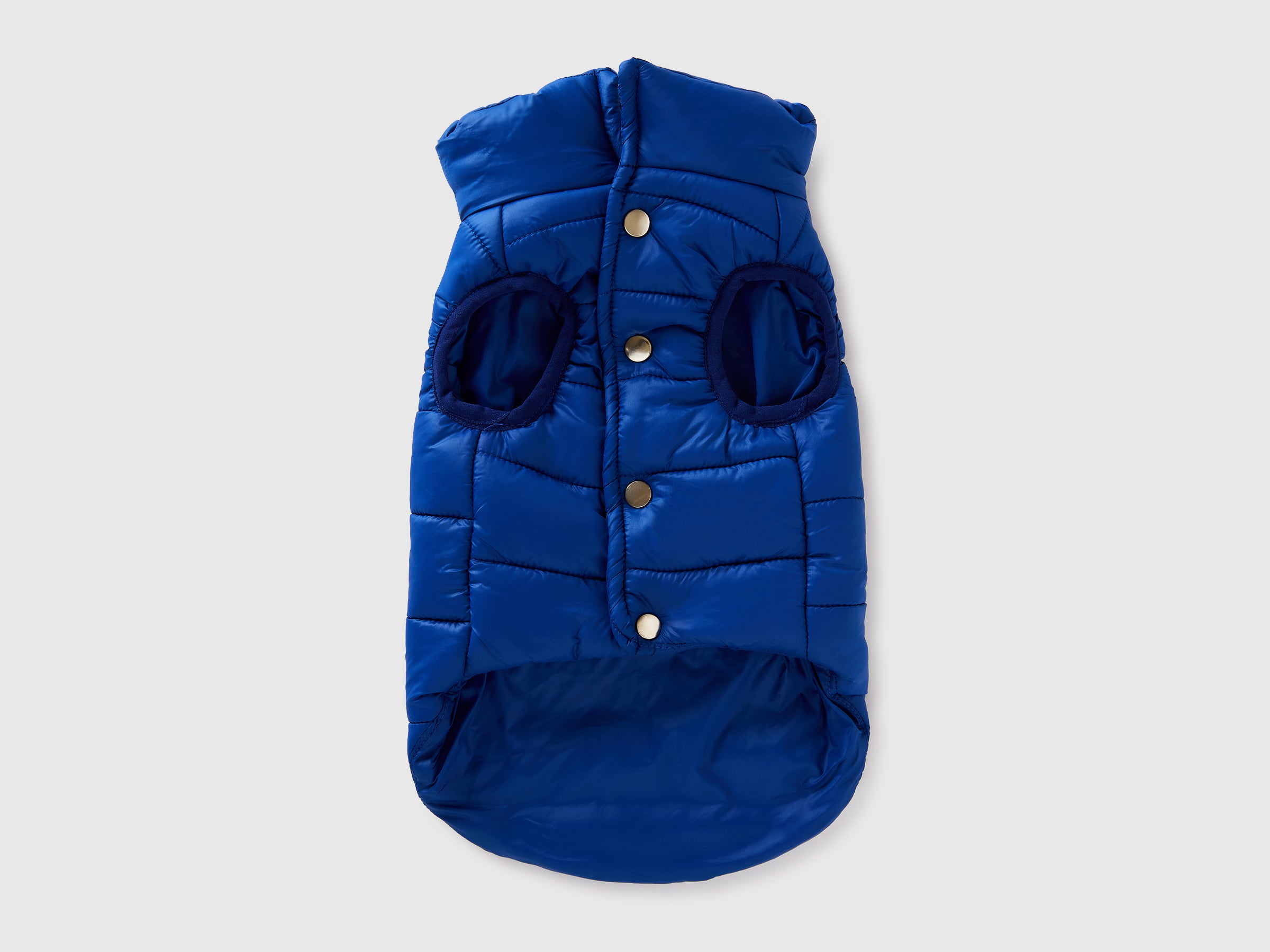 Casaco acolchoado azul bluette para cães - ucb_image_BS