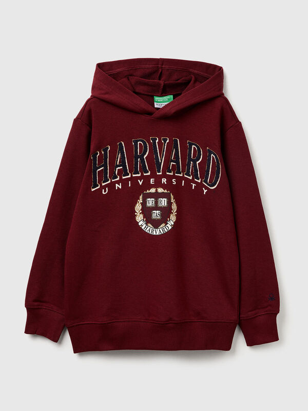 Hoodie ©Harvard University Junior Boy