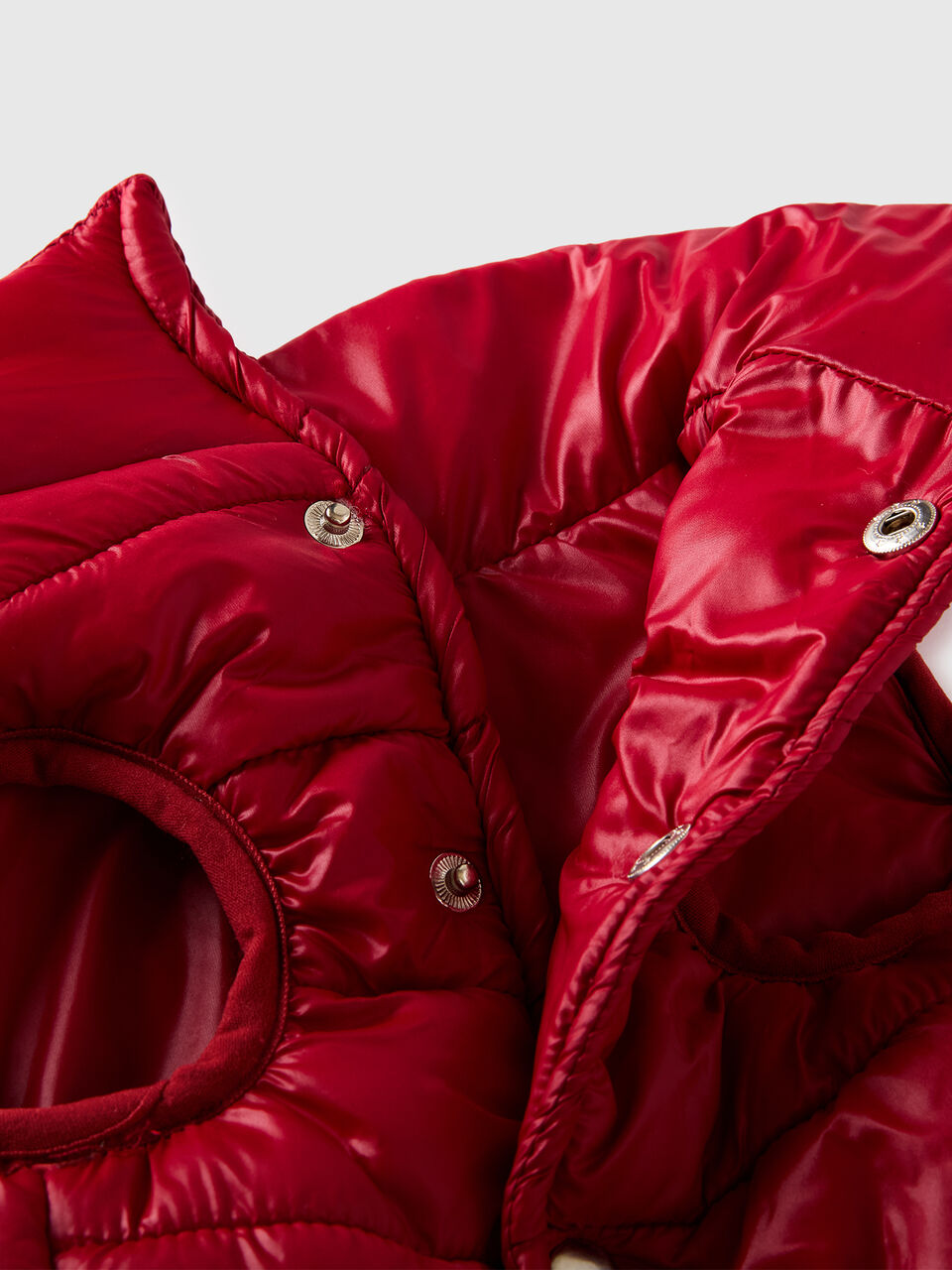 ANIMAL FINISHES image number null